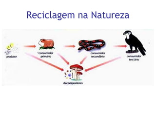 Reciclagem na Natureza
 