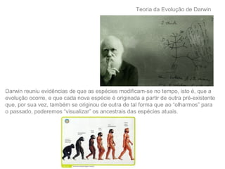 Teoria da Evolução de Darwin
Darwin reuniu evidências de que as espécies modificam-se no tempo, isto é, que a
evolução ocorre, e que cada nova espécie é originada a partir de outra pré-existente
que, por sua vez, também se originou de outra de tal forma que ao “olharmos” para
o passado, poderemos “visualizar” os ancestrais das espécies atuais.
 