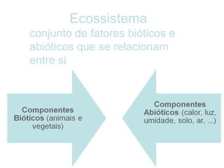 Ecossistema
conjunto de fatores bióticos e
abióticos que se relacionam
entre si
 