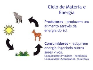 Ciclo de Matéria e
Energia
Produtores –produzem seu
alimento através da
energia do Sol
Consumidores - adquirem
energia ingerindo outros
seres vivos.
Consumidores Primários – herbívoros
Consumidores Secundários- carnívoros
 