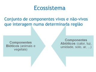 Ecossistema
Conjunto de componentes vivos e não-vivos
que interagem numa determinada região
 