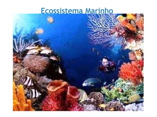 Ecossistema Marinho
 