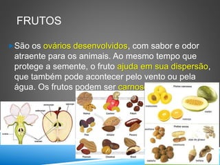Seres vivos 7o ano reprodução das plantas | PPTX