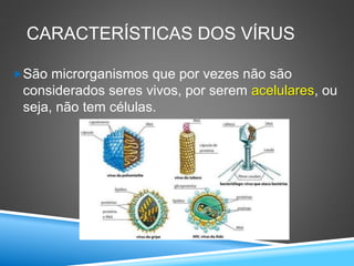 Seres vivos 7o ano vírus | PPTX