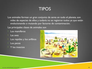 TIPOS
Los animales forman un gran conjunto de seres en todo el planeta. son
miles de especies de ellos y todavía no se registran todos ya que están
evolucionando o mutando por factores de contaminación.
Las principales clases de animales son
 Los mamíferos
 Las aves
 Los reptiles y los anfibios
 Los peces
 Y los insectos
ALEXIS HERNÁNDEZ AGUSTIN 14
 