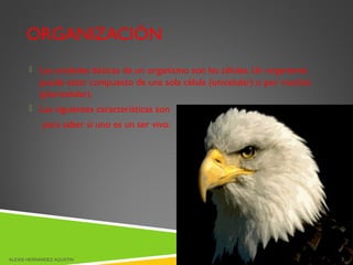 ORGANIZACIÓN
 Las unidades básicas de un organismo son las células. Un organismo
puede estar compuesto de una sola célula (unicelular) o por muchas
(pluricelular).
 Las siguientes características son
para saber si uno es un ser vivo:
ALEXIS HERNÁNDEZ AGUSTIN 3
 