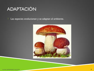 ADAPTACIÓN
 Las especies evolucionan y se adaptan al ambiente.
ALEXIS HERNÁNDEZ AGUSTIN 9
 
