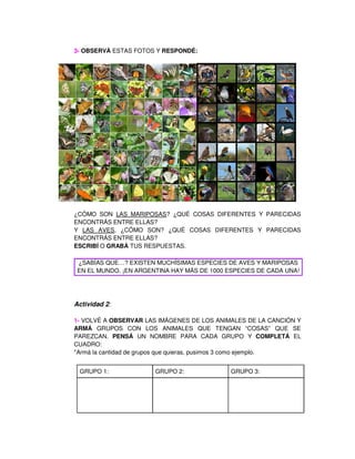 3- OBSERVÁ ESTAS FOTOS Y RESPONDÉ:
¿CÓMO SON LAS MARIPOSAS? ¿QUÉ COSAS DIFERENTES Y PARECIDAS
ENCONTRÁS ENTRE ELLAS?
Y LAS...