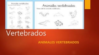 Vertebrados
ANIMALES VERTEBRADOS
 