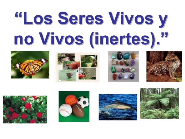 Seres Vivos Y Su Medio Ambiente