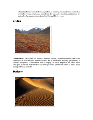 Pradera alpina: También llamada pradera de montaña, tundra alpina o herbazal de
montaña. Son ecosistemas de gran altitud. En los Andes (región puna) destacan los
pajonales. Se encuentra también en los Alpes, el Tíbet y otros.

undra

La tundra está conformada por musgos, líquenes, hierbas y pequeños arbustos, por lo que
en realidad es un ecosistema húmedo definido por la ausencia de árboles y que presenta el
subsuelo congelado. Se encuentran entre la taiga y las nieves perpetuas. La tundra ártica
tiene gran extensión, en la antártica son áreas pequeñas y la tundra alpina se define mejor
como pradera de montaña.

Desierto

 