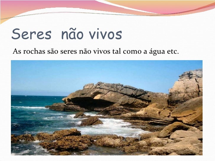 Seres vivos e seres não vivos diogo, miguel domingos, miguel espadin…