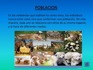 POBLACION
En los ambientes que habitan los seres vivos, los individuos
nunca están solos sino que conforman una población. De esta
manera, cada uno se relaciona con otros de su misma especie,
y lo hace de diferentes modos.
 