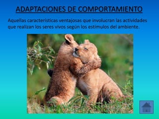 ADAPTACIONES DE COMPORTAMIENTO
Aquellas características ventajosas que involucran las actividades
que realizan los seres vivos según los estímulos del ambiente.
 