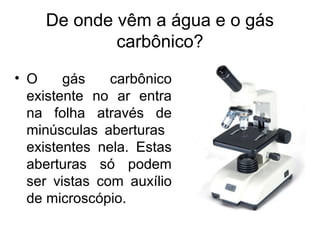 De onde vêm a água e o gás
            carbônico?
• O     gás    carbônico
  existente no ar entra
  na folha através de
  minúsculas aberturas
  existentes nela. Estas
  aberturas só podem
  ser vistas com auxílio
  de microscópio.
 