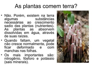 As plantas comem terra?
• Não. Porém, existem na terra
  algumas            substâncias
  necessárias ao crescimento
  sadio das plantas (nutrientes).
  As plantas as absorvem
  dissolvidas em água, através
  de suas raízes.
• Quando faltam, um vegetal
  não cresce normalmente, pode
  ficar   deformado    e    com
  manchas nas folhas.
• Os mais importantes são:
  nitrogênio, fósforo e potássio
  (sais minerais).
 