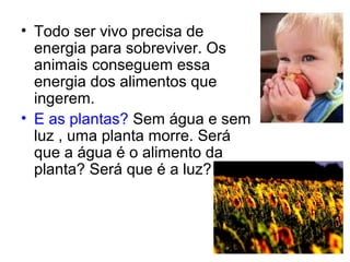 • Todo ser vivo precisa de
  energia para sobreviver. Os
  animais conseguem essa
  energia dos alimentos que
  ingerem.
• E as plantas? Sem água e sem
  luz , uma planta morre. Será
  que a água é o alimento da
  planta? Será que é a luz?
 