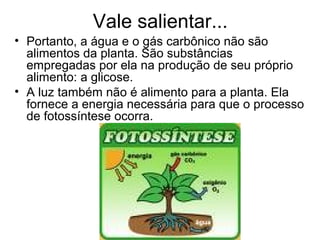 Seres vivos produtores | PPT