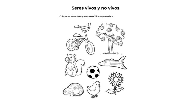 Seres Vivos Y No Para Ninos Sketch Coloring Page