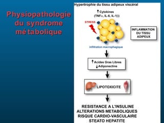 Physiopathologie
  du syndrome
  mé tabolique
 