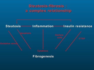 Steatosis-fibrosis :
                       a complex relationship


    Steatosis                  Inflammation              Insulin resistance

                   Apoptosis
                                              Stellate
                                                cells             CTGF

Oxidative stress


                                 Cytokines

                               Fibrogenesis
 