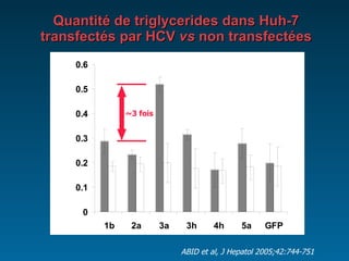 Quantité de triglycerides dans Huh-7 transfectés par HCV  vs  non transfectées ABID et al, J Hepatol 2005;42:744-751 ~3 fois 