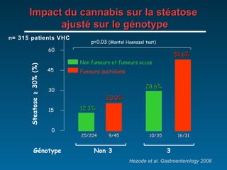 Impact du cannabis sur la stéatose  ajusté sur le génotype Génotype  Non 3  3  p=0.03  (Mantel Haenszel test) 20.0% 28.6% 51.6% 0 15 30 45 60 Non fumeurs et fumeurs occas Fumeurs quotidiens Steatose ≥ 30% (%) 12.3% 25/204  9/45  10/35  16/31 Hezode et al. Gastroenterology 2008 n= 315 patients VHC 