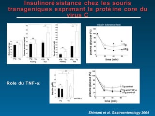 Insulinorésistance chez les souris transgeniques exprimant la protéine core du virus C Shintani et al. Gastroenterology 2004 Insulin tolerance test Role du TNF-  