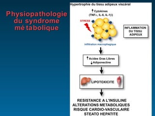 Physiopathologie du syndrome métabolique 