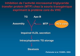 Inhibition de l’activité microsomal triglyceride
transfer protein (MTP) chez la souris transgénique
         exprimant la protéine core du VHC

                TG     Apo B

       Assembly        +       MTP           HCV core


             Impaired VLDL secretion


            Intracytoplasmic TG storage


                  Steatosis
                                Perlemuter et al. FASEB J 2002.
 