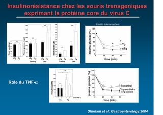 Insulinorésistance chez les souris transgeniques
      exprimant la protéine core du virus C
                                Insulin tolerance test




            α
Role du TNF-α




                           Shintani et al. Gastroenterology 2004
 