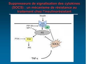 Suppresseurs de signalisation des cytokines
  (SOCS) : un mécanisme de résistance au
     traitement chez l’insulinorésistant




             TNF-a
 