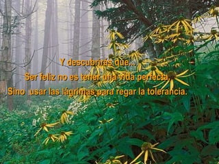 Y descubrirás que...  Ser feliz no es tener una vida perfecta.  Sino usar las lágrimas para regar la tolerancia.  