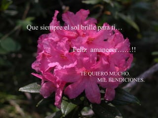 Que siempre el sol brille para ti… Feliz  amanecer……!! TE QUIERO MUCHO. MIL BENDICIONES. 