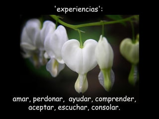 amar, perdonar,  ayudar, comprender,  aceptar, escuchar, consolar.  'experiencias':  