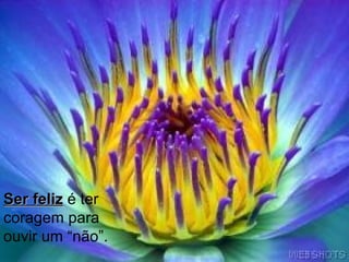 Ser feliz  é ter coragem para ouvir um “não”.   