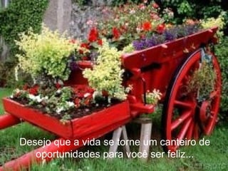 Desejo que a vida se torne um canteiro de oportunidades para você ser feliz... 