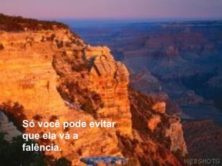 Só você pode evitar que ela vá a falência. 