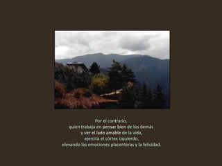 Por el contrario,
quien trabaja en pensar bien de los demás
y ver el lado amable de la vida,
ejercita el córtex izquierdo,
elevando las emociones placenteras y la felicidad.
 