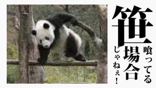 笹喰
っ
て
る
場
合
じ
ゃ
ね
ぇ
！
 
