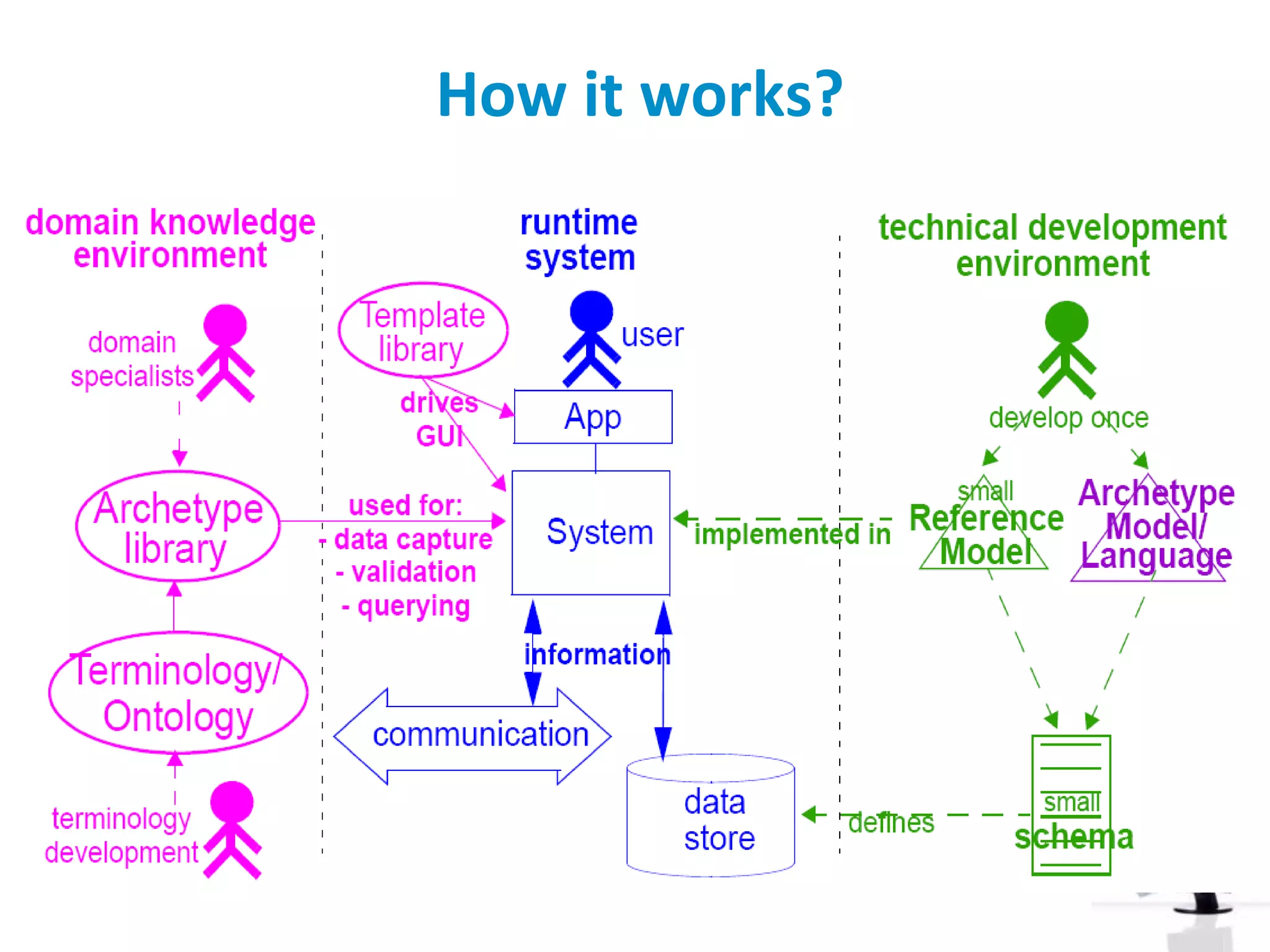 Case study: Endoscopy Reporting Application