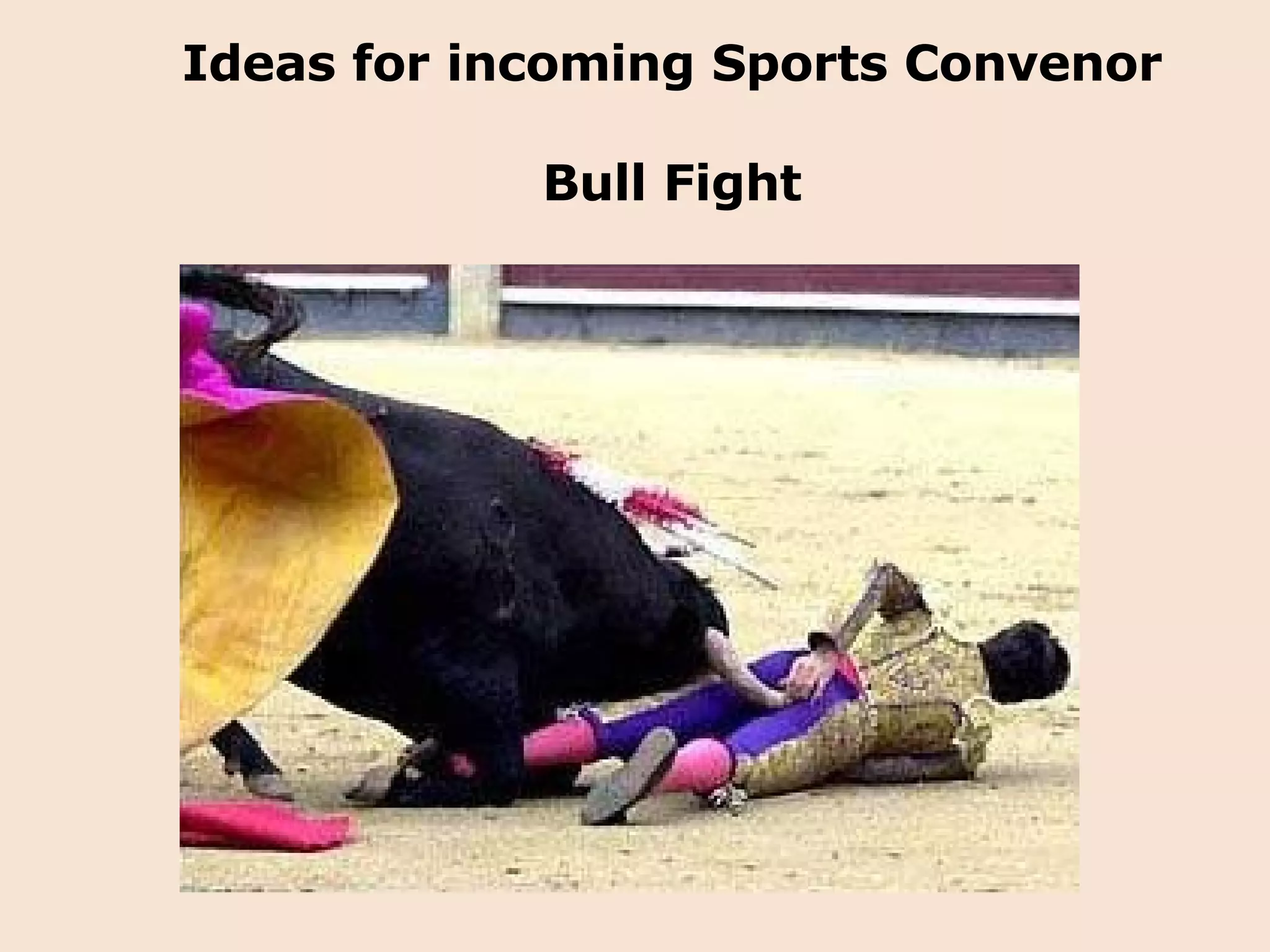 Ideas for incoming Sports Convenor Bull Fight 