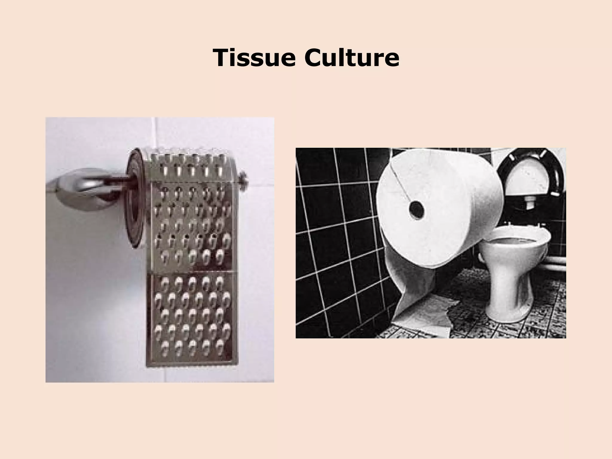 Tissue Culture 