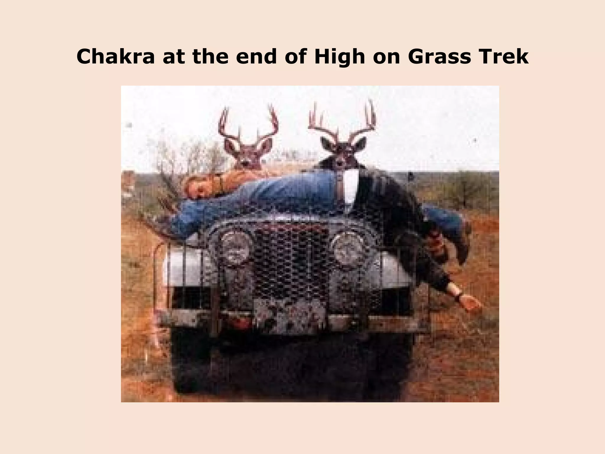 Chakra at the end of High on Grass Trek 