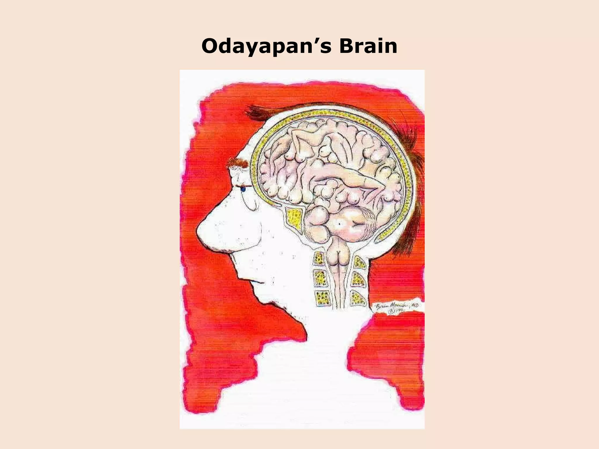 Odayapan’s Brain 