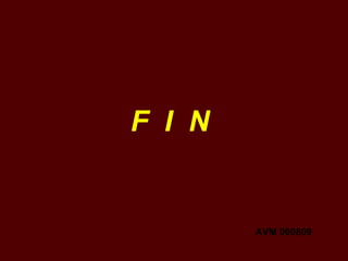 F  I  N AVM 090809 