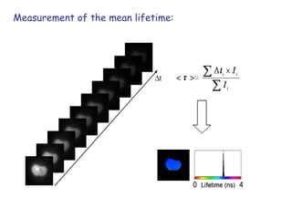Measurement of the mean lifetime:  