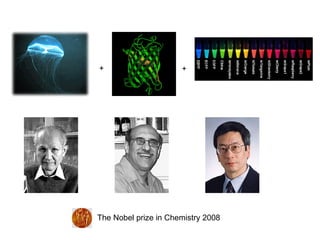 + + The Nobel prize in Chemistry 2008 