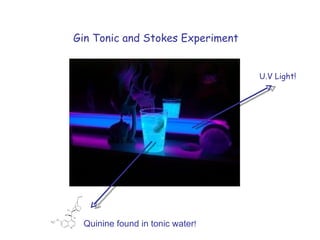 Gin Tonic and Stokes Experiment U.V Light! Quinine found in tonic water ! 