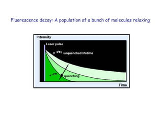 Fluorescence decay: A population of a bunch of molecules relaxing 